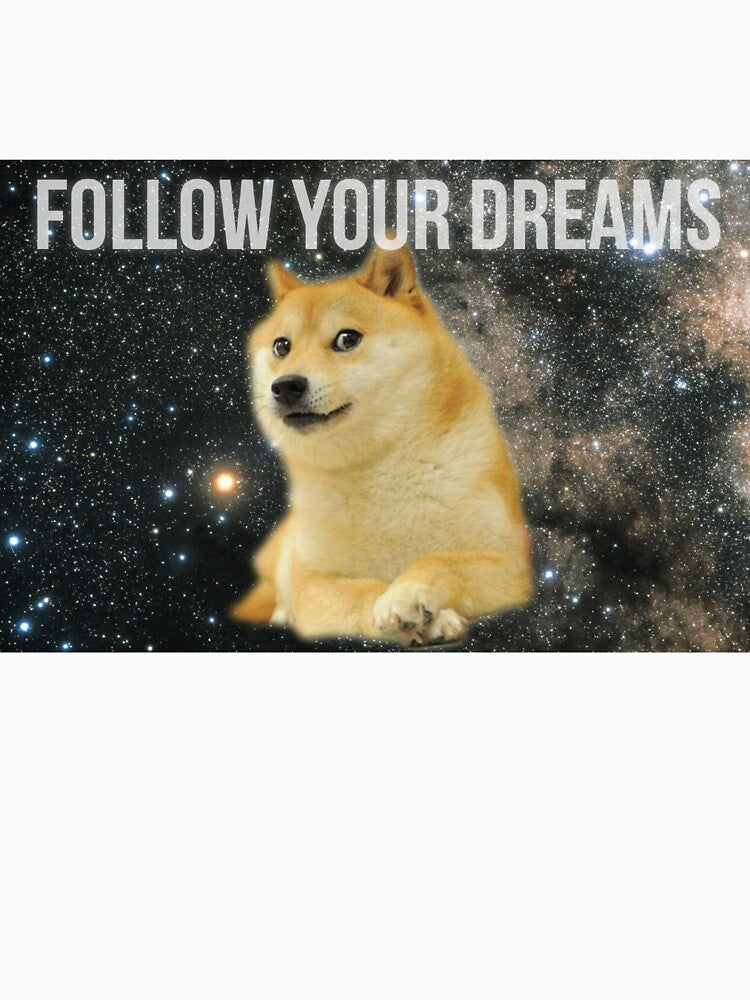 Follow Your Dreams doge meme by Madwerkz