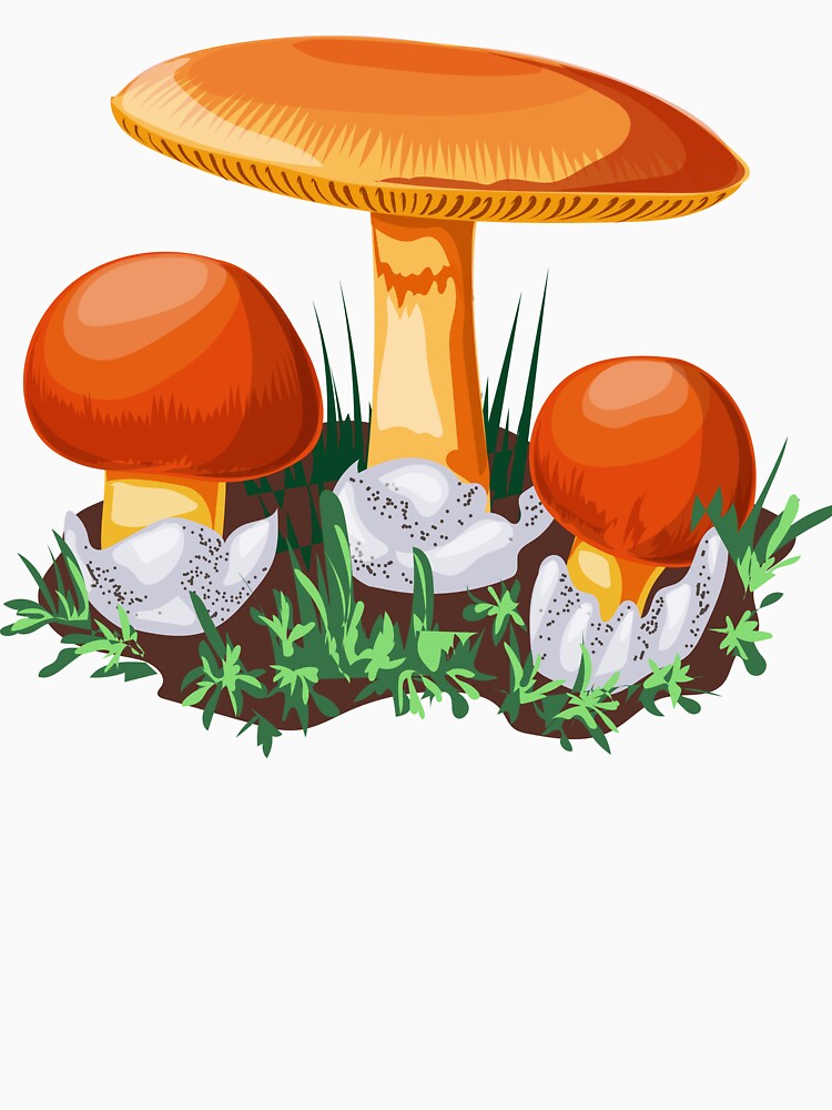 mushroom by TypoArtist