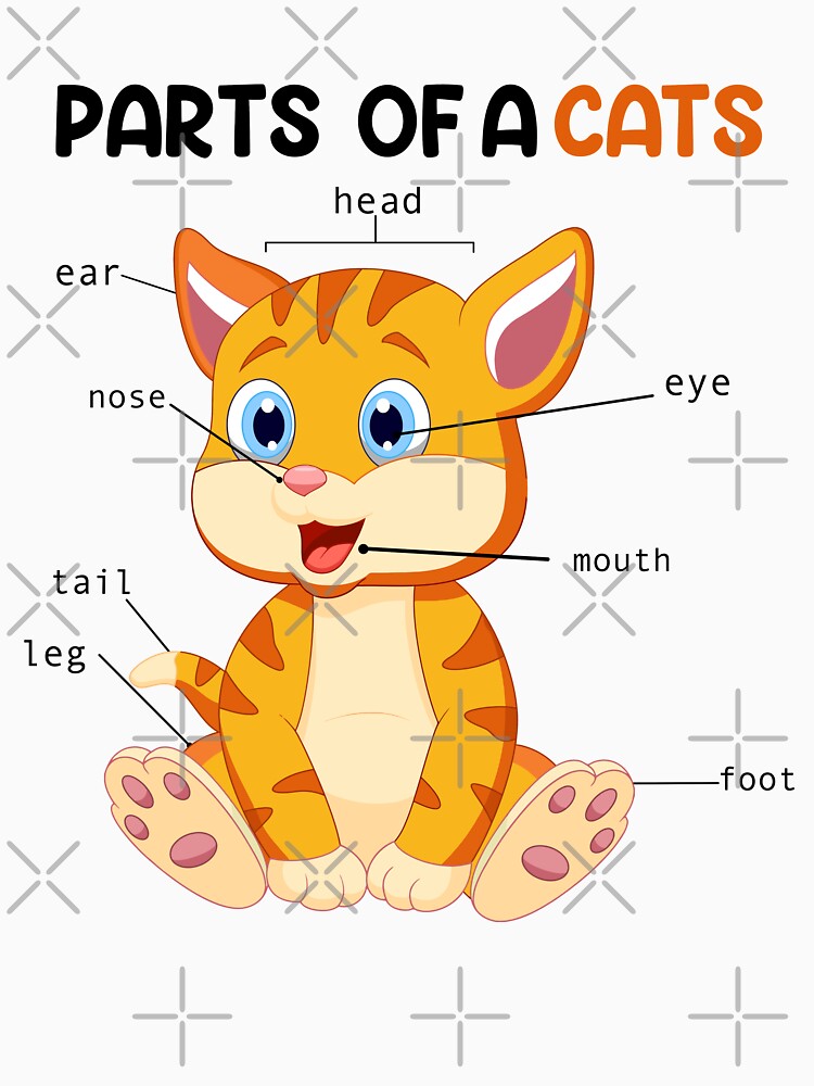 FUNNY ANATOMY OF A CAT KITTEN FELINE, PARTS OF A CATS by SBEEKAA