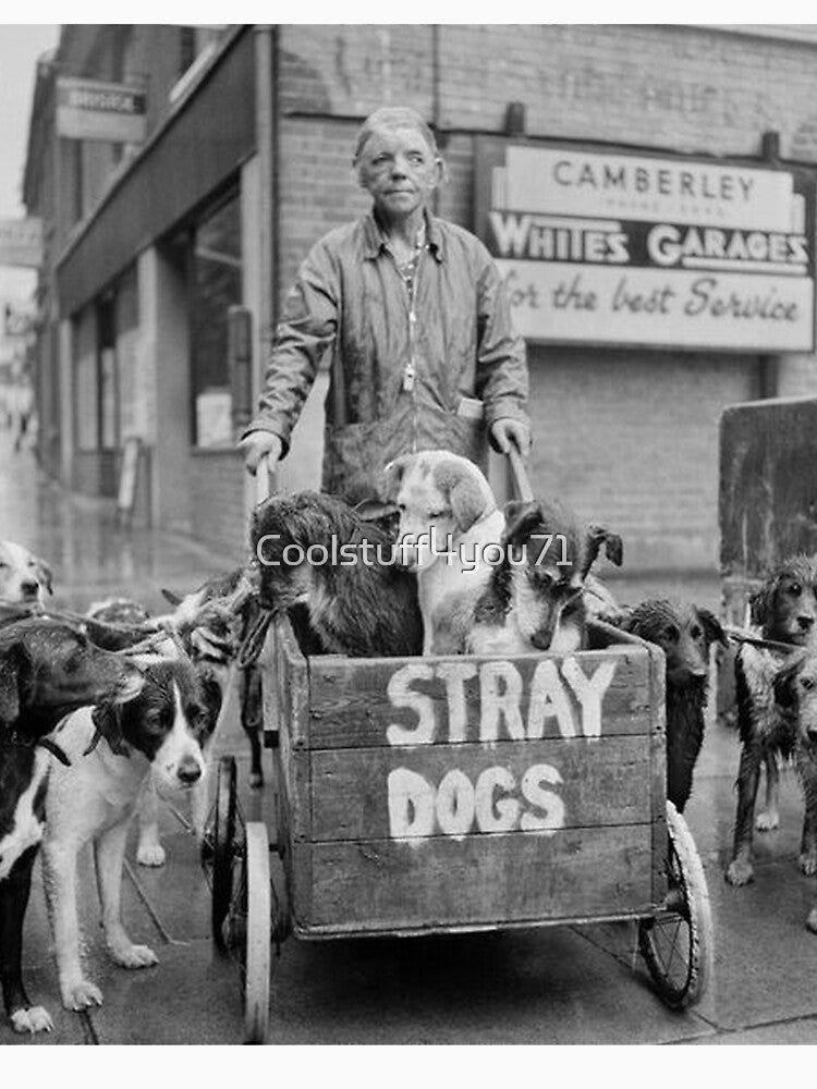 Vintage dog cute photo Stray Dogs retro pet in love by Coolstuff4you71