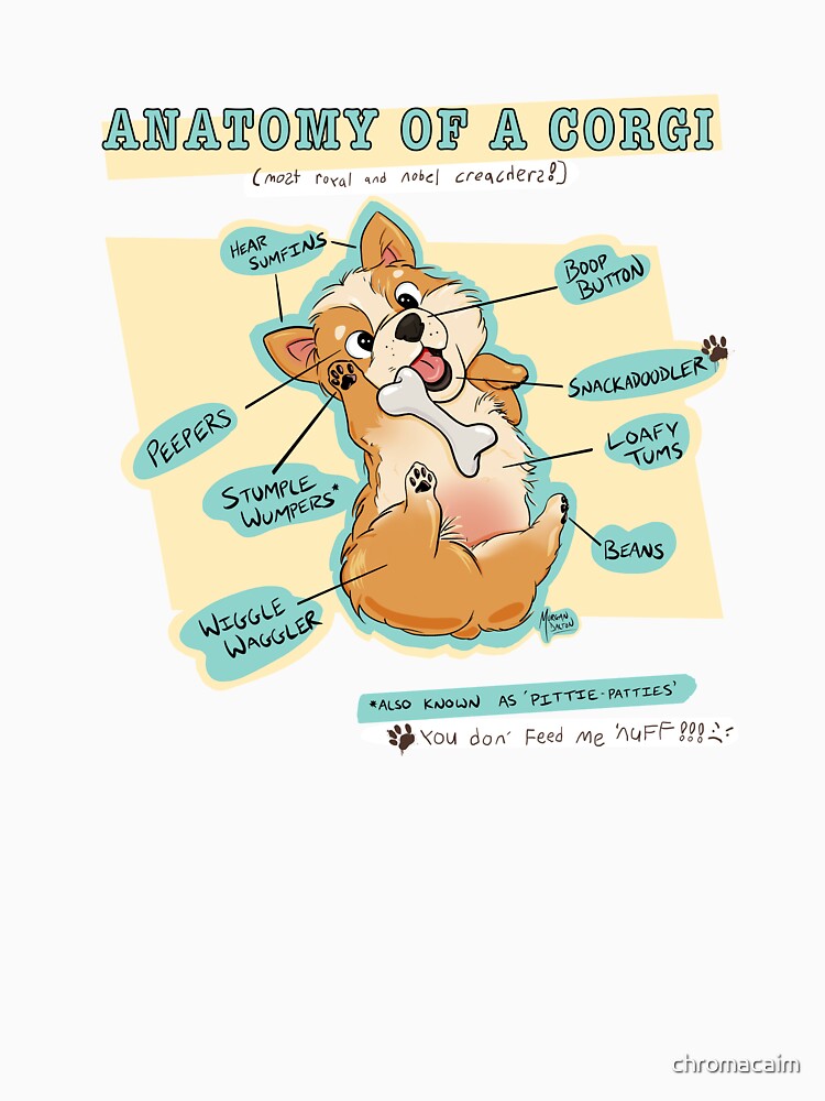 Anatomy of a Corgi by chromacaim