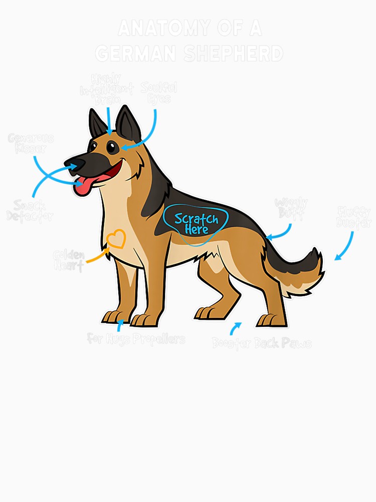 Anatomy Of A German Sheperd Funny Dog Master Mistress by Noline9