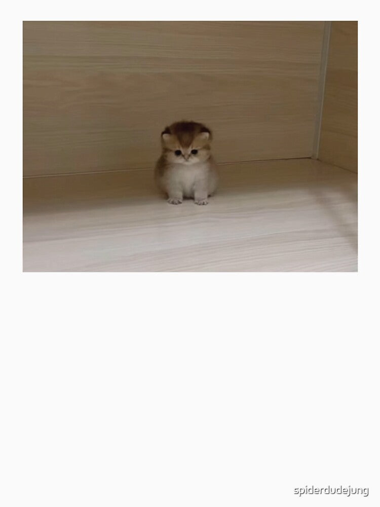 Very Small Cute Cat by spiderdudejung