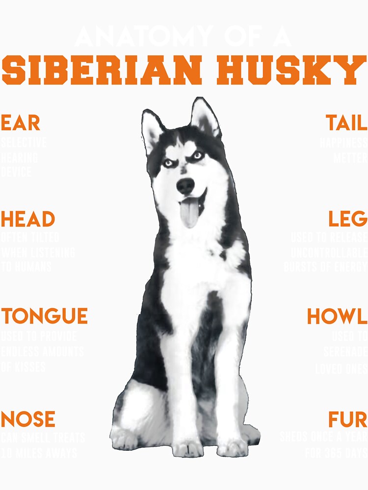 Anatomy Of A Siberian Husky Dogs Funny Gift by AharmaDesign