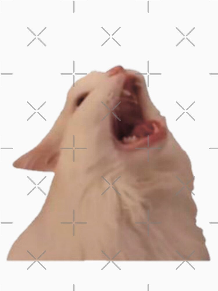Angry cat by funny   artist