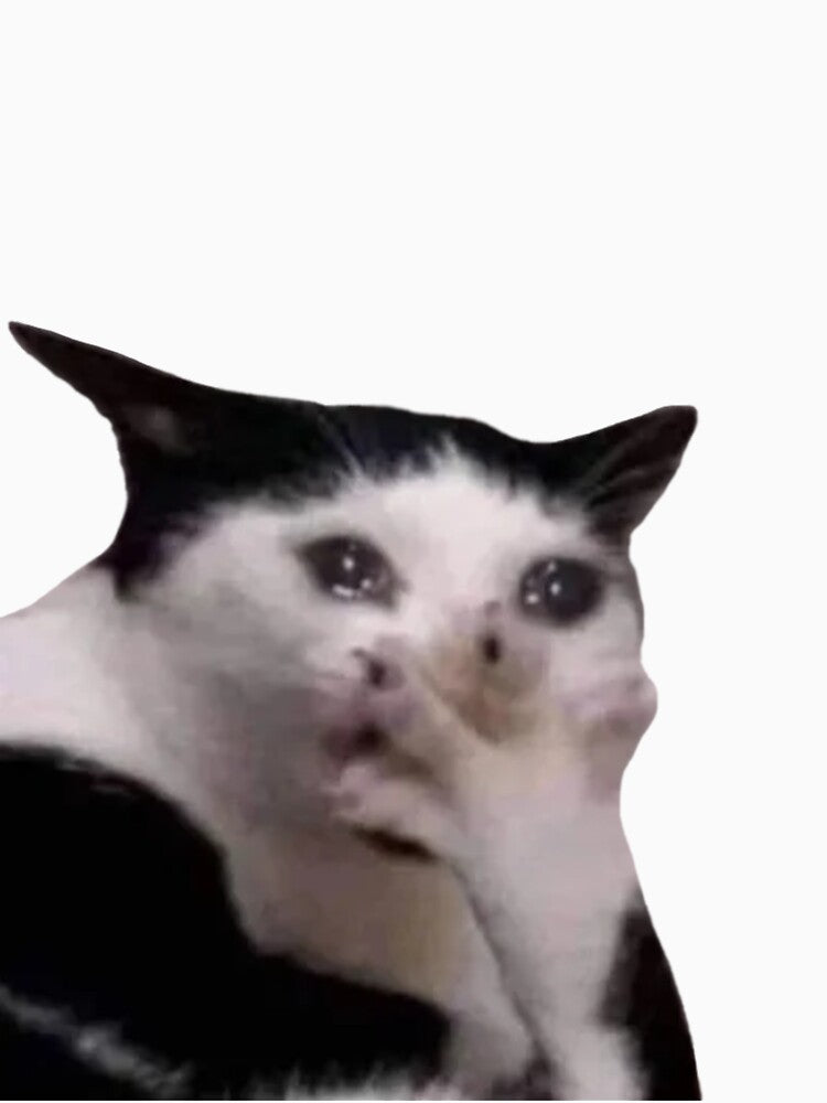 crying cat meme by tttatia