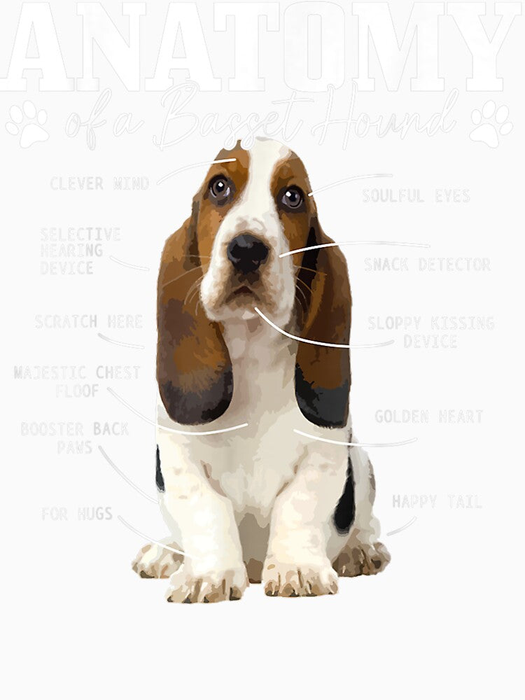 Anatomy Of A Basset Hound Funny Cute Dog Basset Mom Dad by kimngw