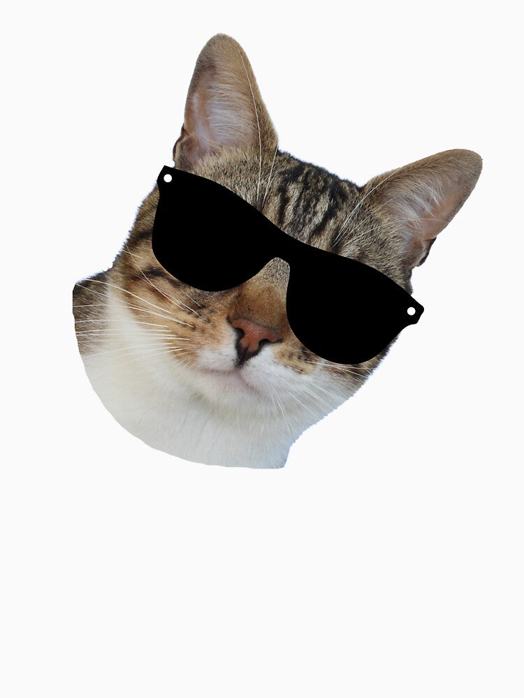 cat wearing sunglasses by MeIanie