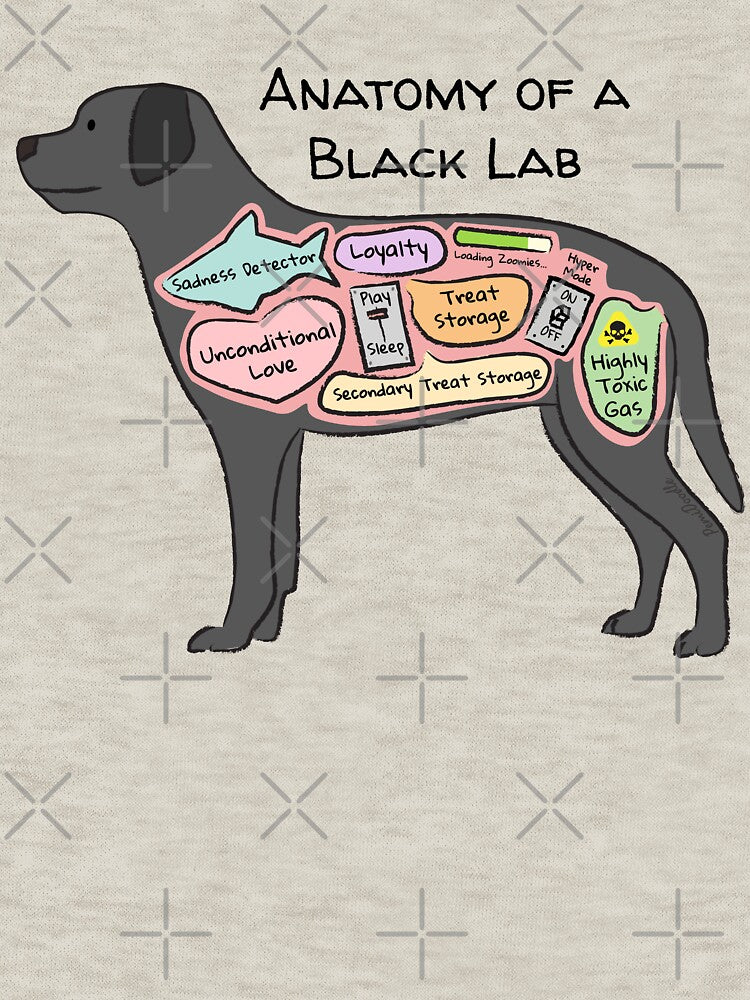 Anatomy of a Black Lab by PemiDoodle