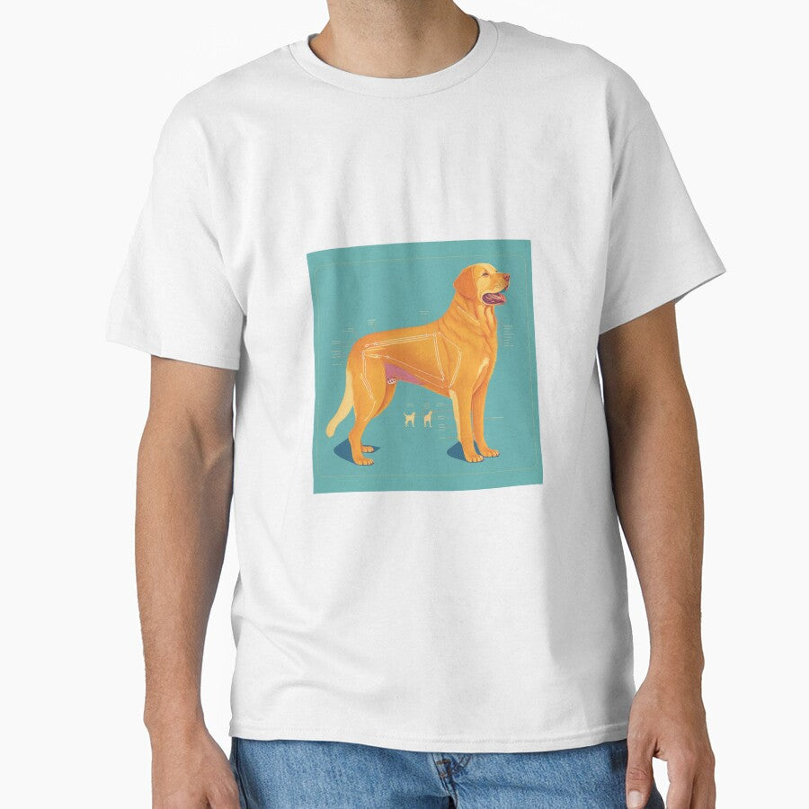 retro anatomy of a golden retriever poster by lysabird