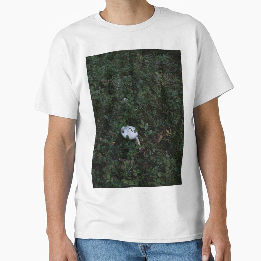 Hidden White Mushroom in Forest by creativevandal