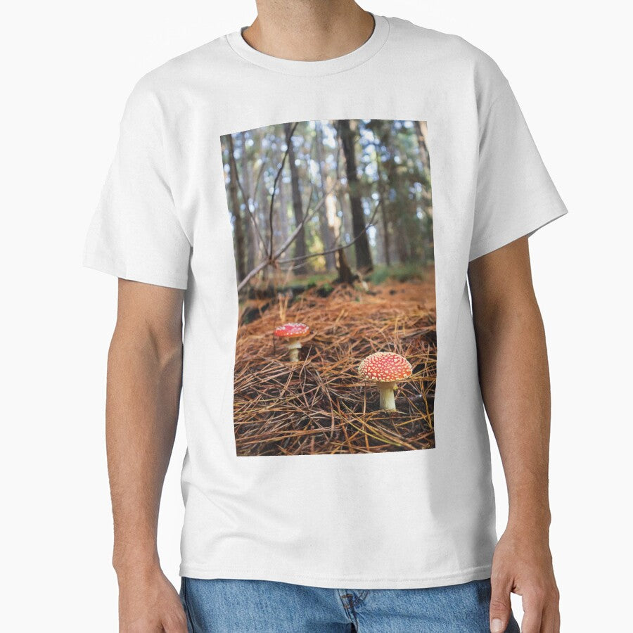 Amanita Muscaria Mushrooms in Pine Forest at Golden Hour by Maddy the Maker