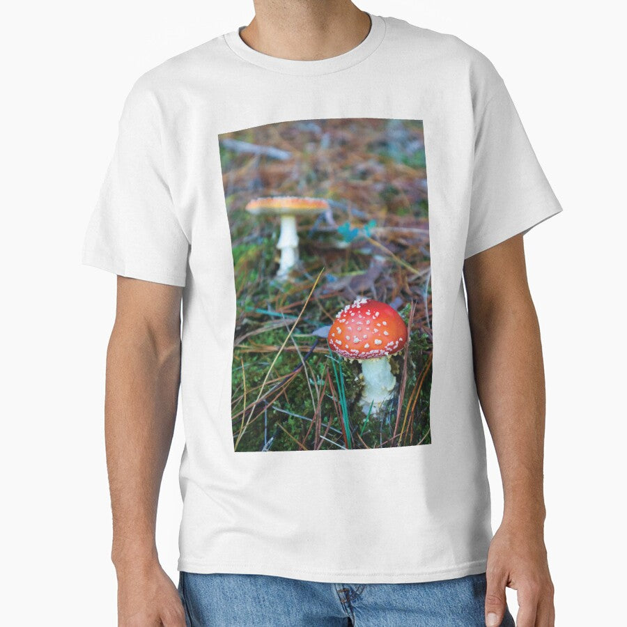Amanita Muscaria Mushrooms in Mossy Pine Forest by Maddy the Maker
