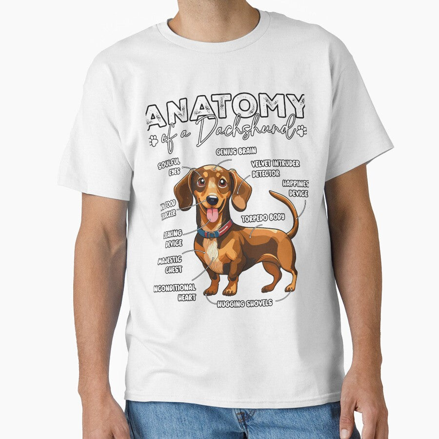 Anatomy of a Dachshund by emedesigntopia