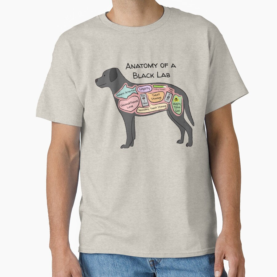 Anatomy of a Black Lab by PemiDoodle