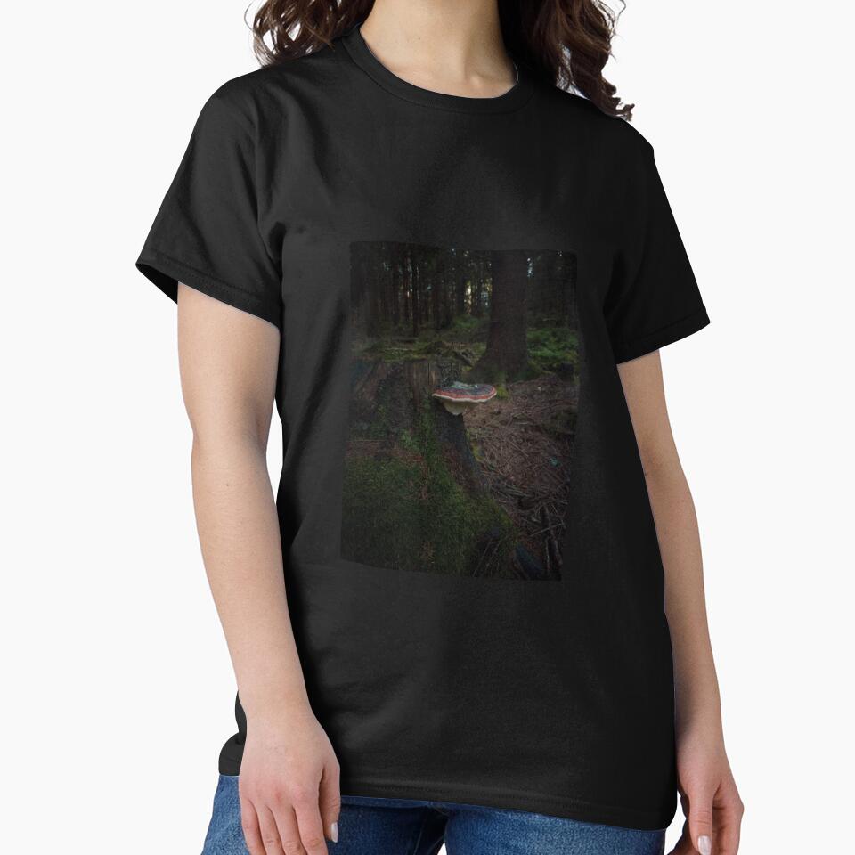 Moody Forest Mushroom Photography Nature Wall Art by Kapsula2023