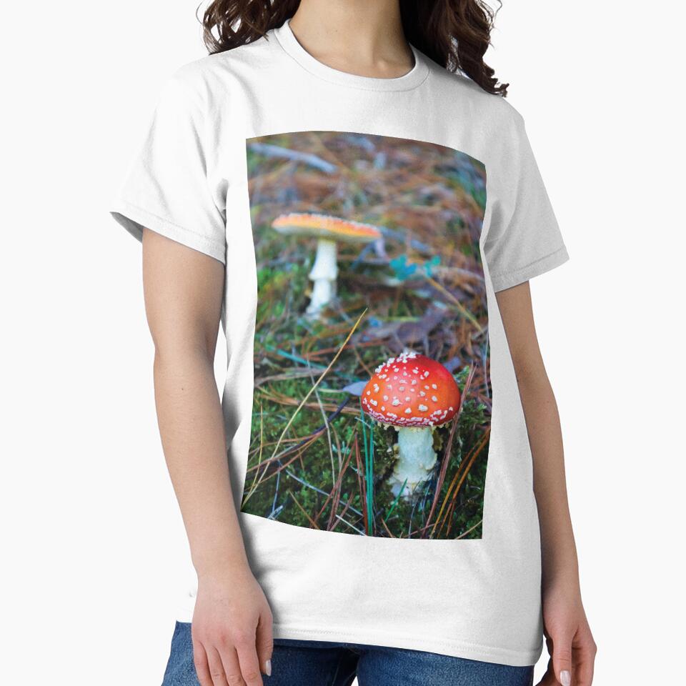 Amanita Muscaria Mushrooms in Mossy Pine Forest by Maddy the Maker