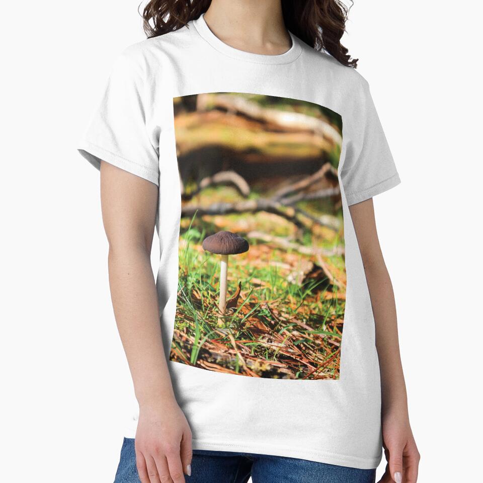 Oudemansiella Gigaspora Mushroom in Pine Forest at Golden Hour by Maddy the Maker