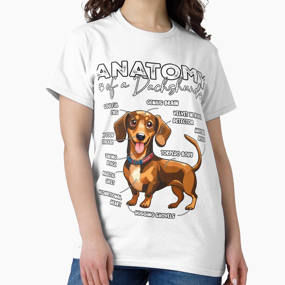 Anatomy of a Dachshund by emedesigntopia