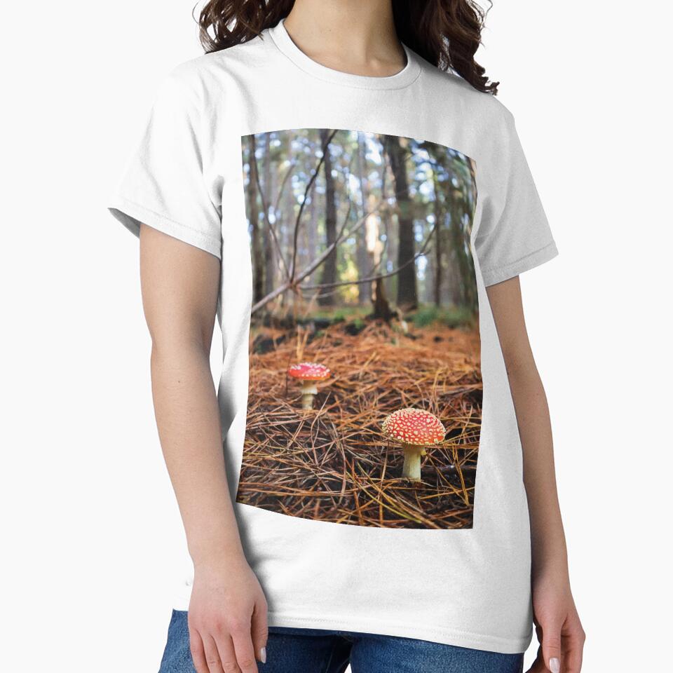 Amanita Muscaria Mushrooms in Pine Forest at Golden Hour by Maddy the Maker