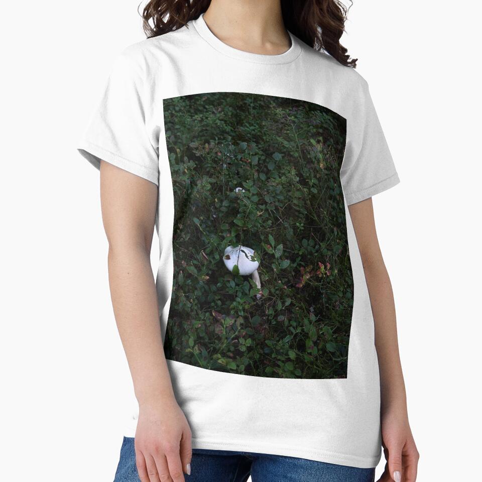 Hidden White Mushroom in Forest by creativevandal