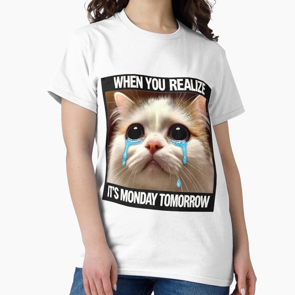 Crying Cat Meme - When You Realize It's Monday Tomorrow by CatmemesArt
