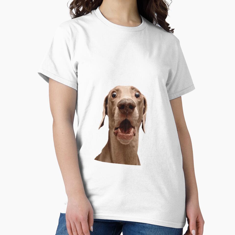Funny dog by funny   artist