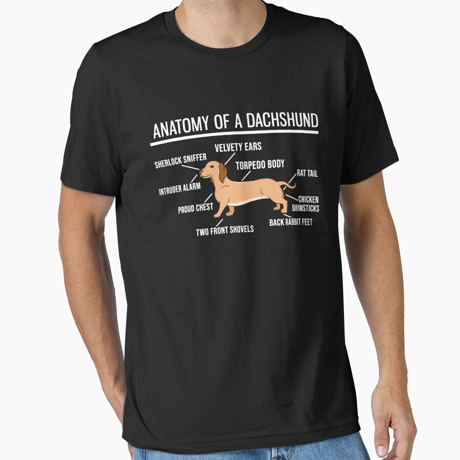 Anatomy Of A Dachshund - Cute Funny Dog Puppy by PrintPress
