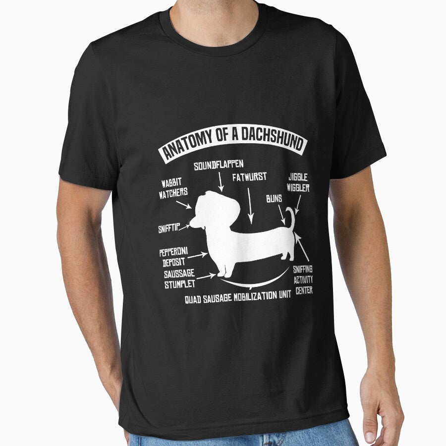 The Anatomy Of A Dachshund Dog Lovers Dogs by JohnnyBench73