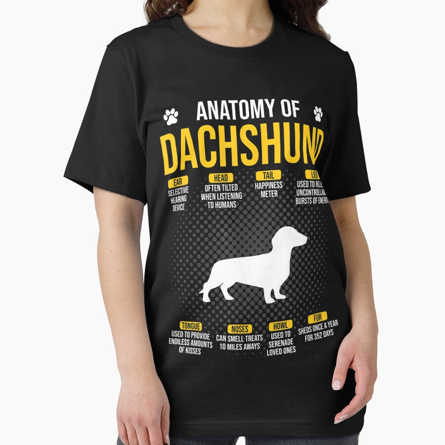 Anatomy Of A Dachhshund Funny Dog by MarkHudson78