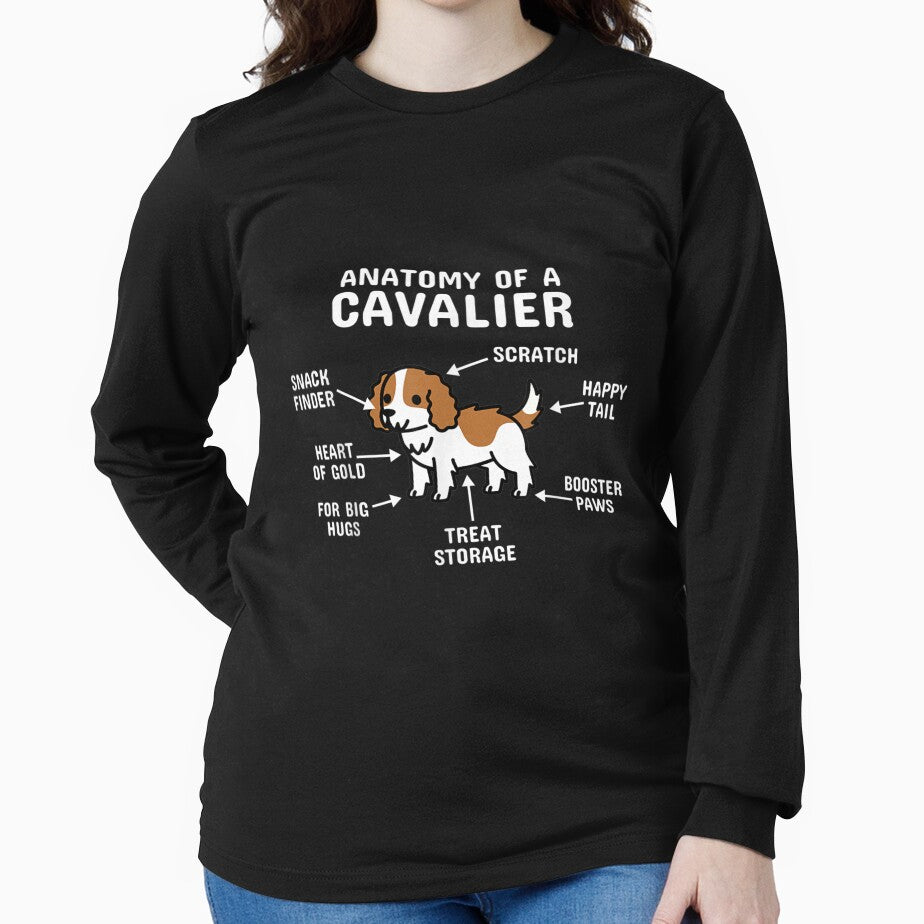 Anatomy Of A Cavalier King Charles Spaniel Dog by terrycar