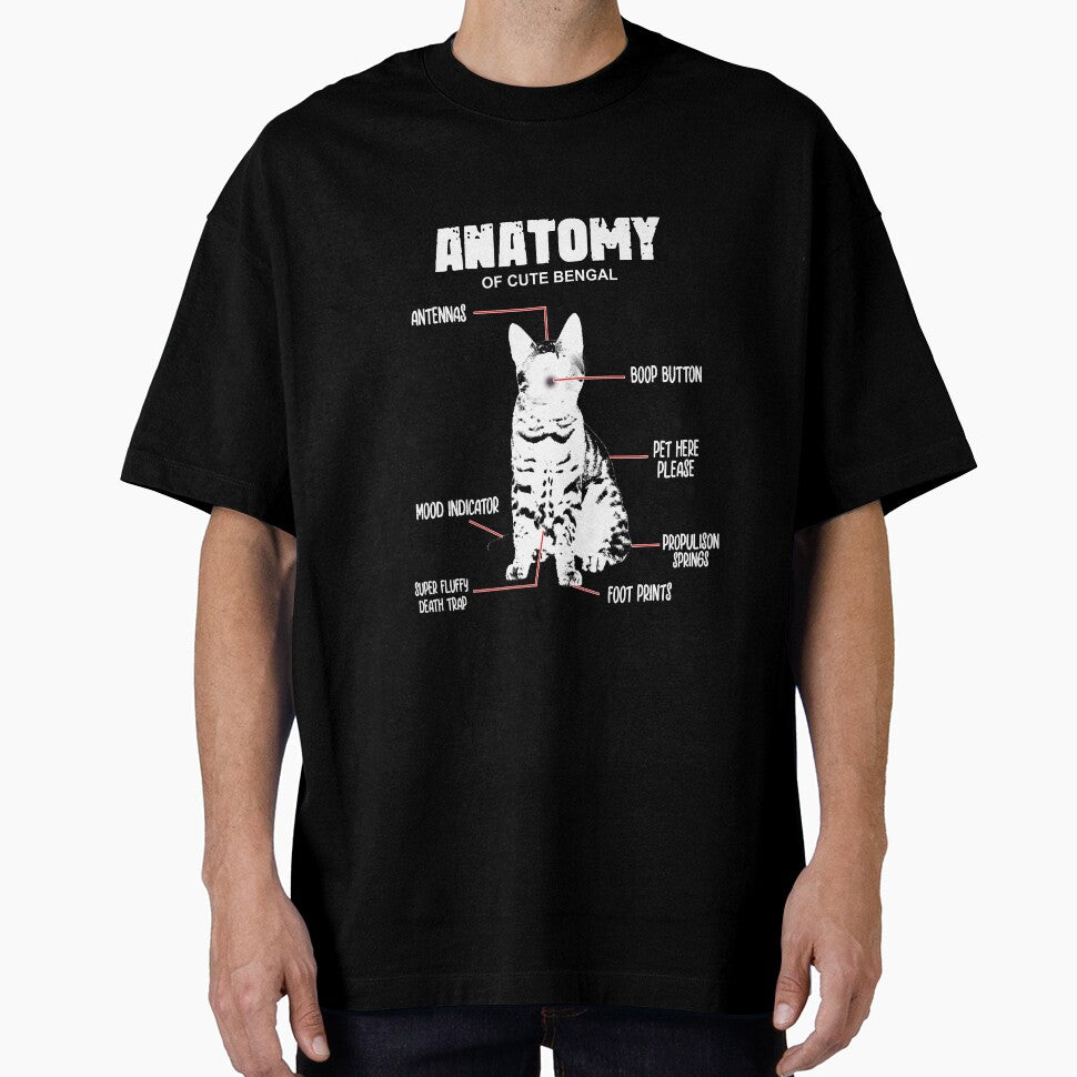 anatomy of a cat by sami david ⭐⭐⭐⭐⭐