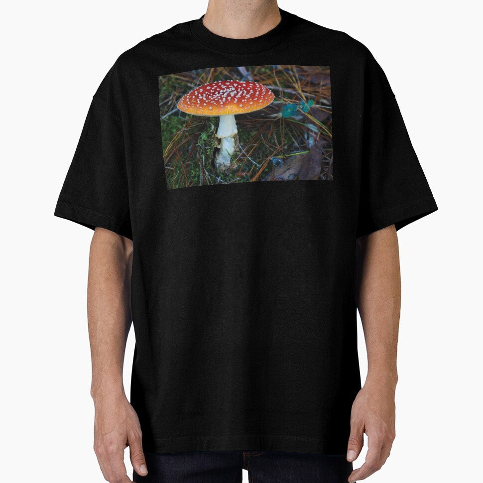 Amanita Muscaria Mushroom in Mossy Pine Forest by Maddy the Maker
