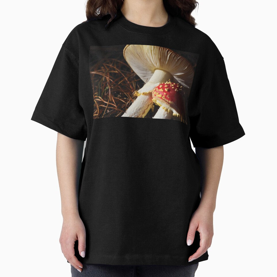 Amanita Muscaria Mushrooms on Pine Needles at Golden Hour by Maddy the Maker