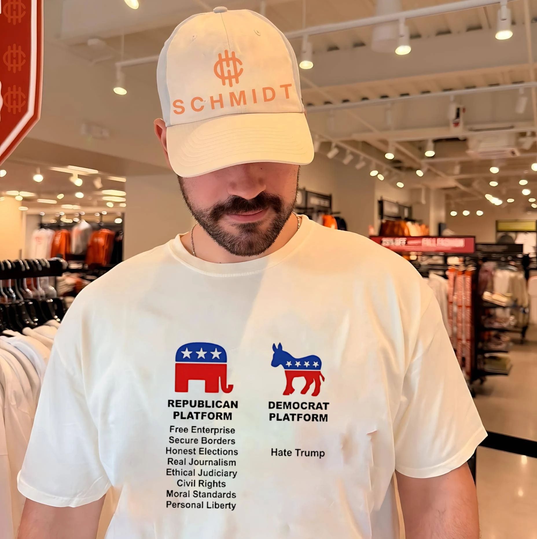 Republican platform and Democrat platform sgurt