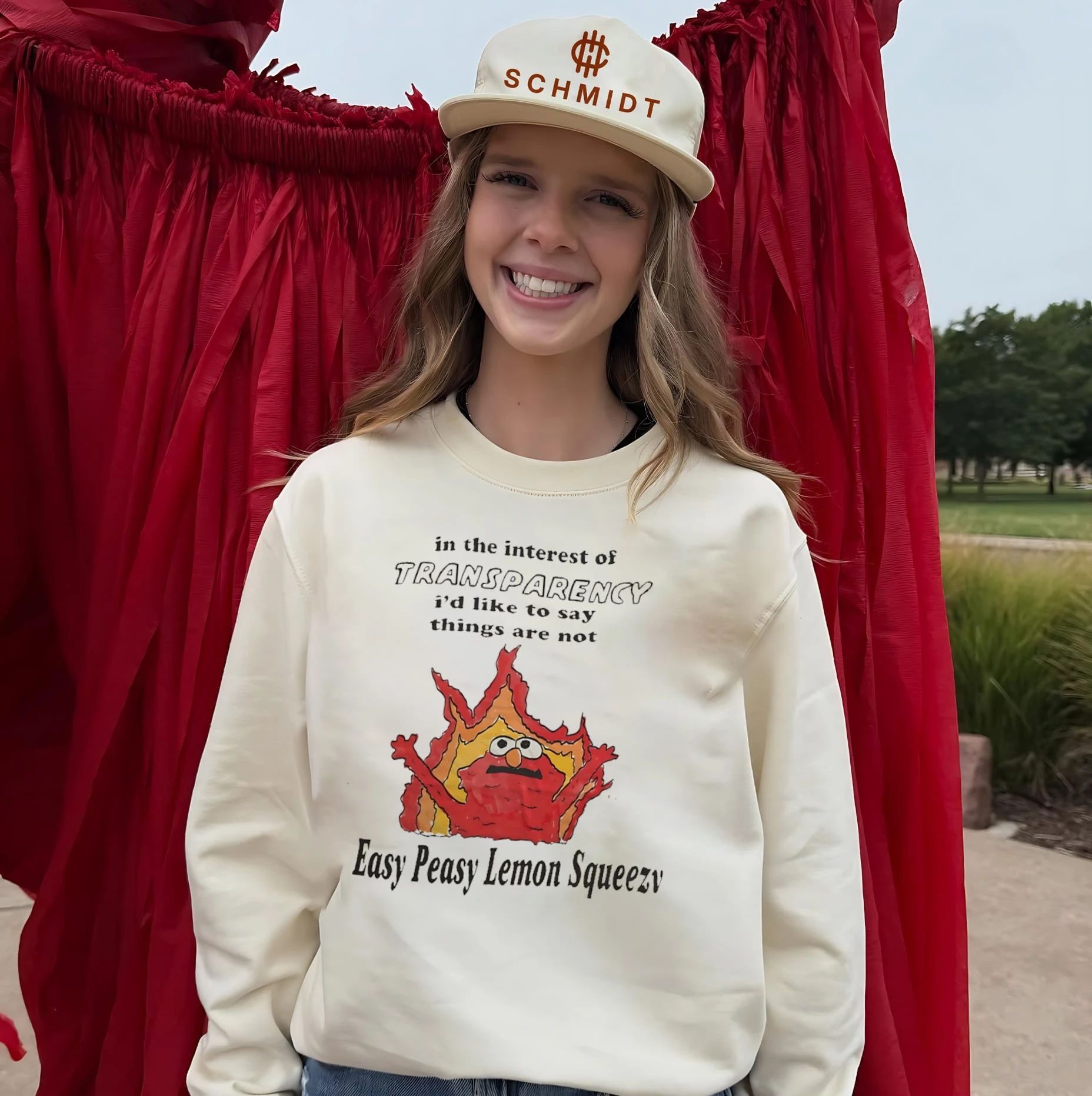 In the Interest of Transparency Things Are Not Easy Peasy Lemon Squeezy shirt