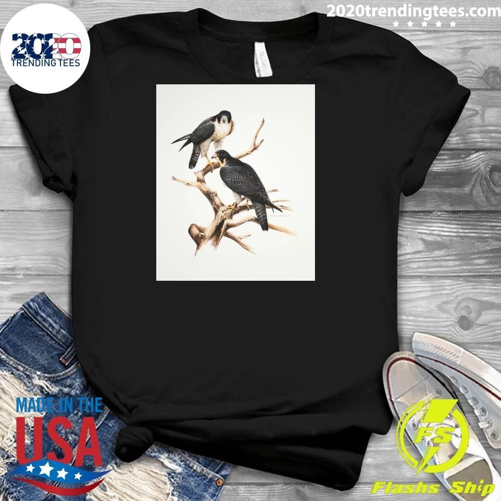 Roger Tory Peterson Peregrines Adult Ash 2026 Tee Shirt